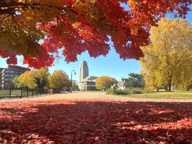 Battle Creek in the Fall